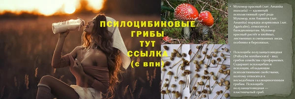 дживик Горнозаводск
