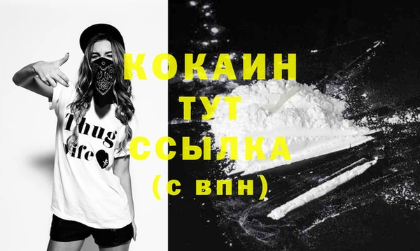дживик Горнозаводск