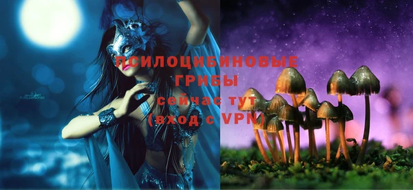 дживик Горнозаводск